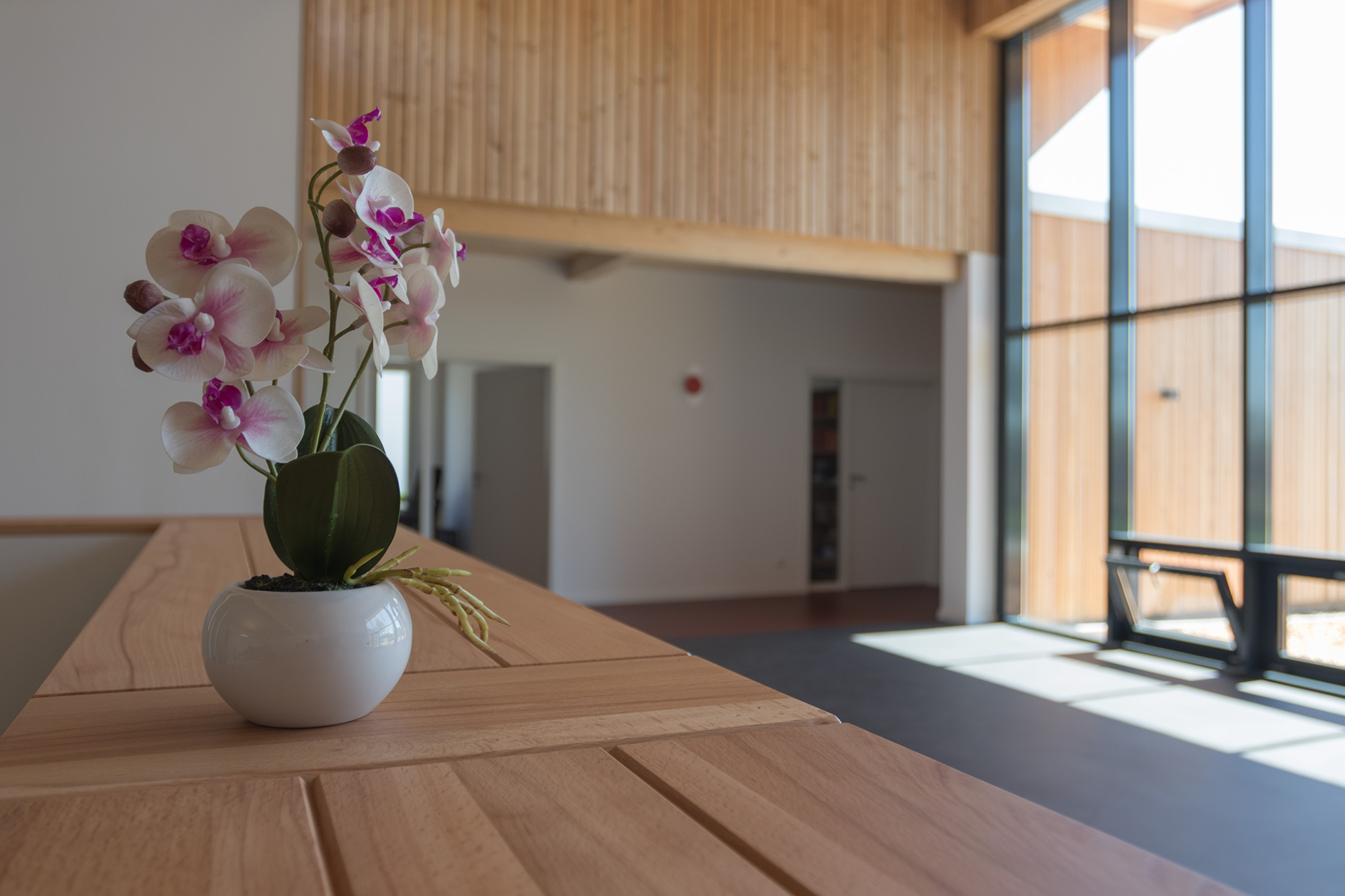 Tresen des Empfangsbereichs, im Hintergrund die Fensterfront des Foyers