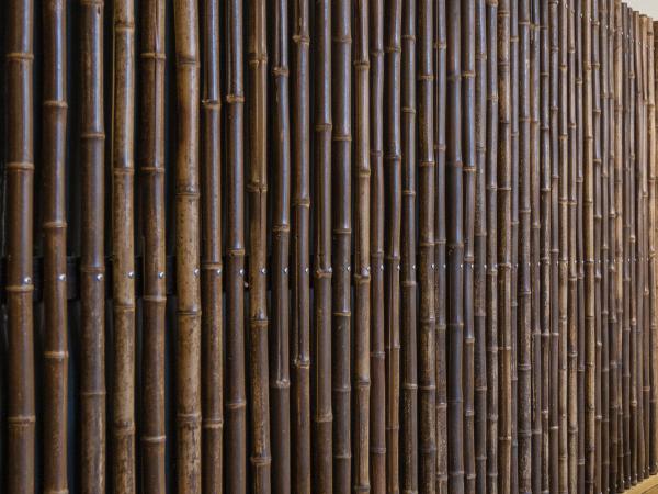 Bamboo cladding before interior insulation and sound absorbers in the refectory